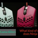What kind of mouse does Ninja use